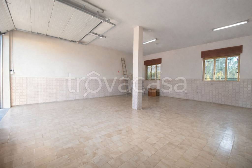 immagine annuncio 2 di 9