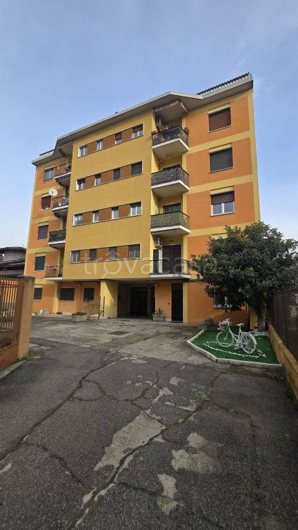 immagine annuncio 1 di 15