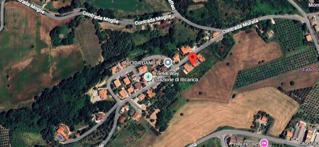 immagine annuncio 3 di 10