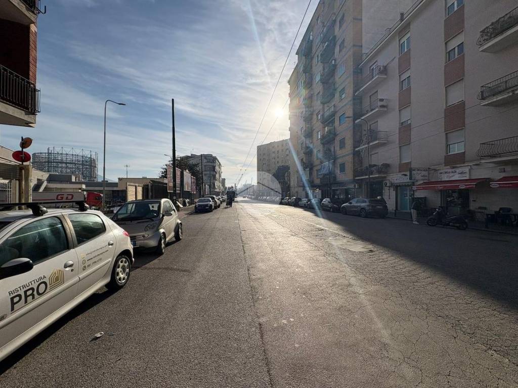 immagine annuncio 2 di 14