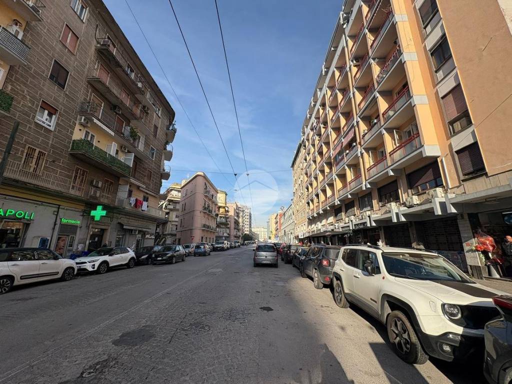 immagine annuncio 3 di 14