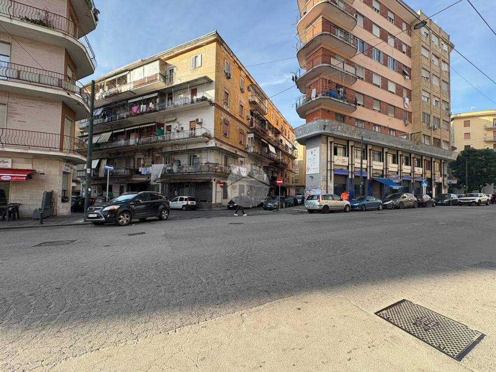 immagine annuncio 12 di 14