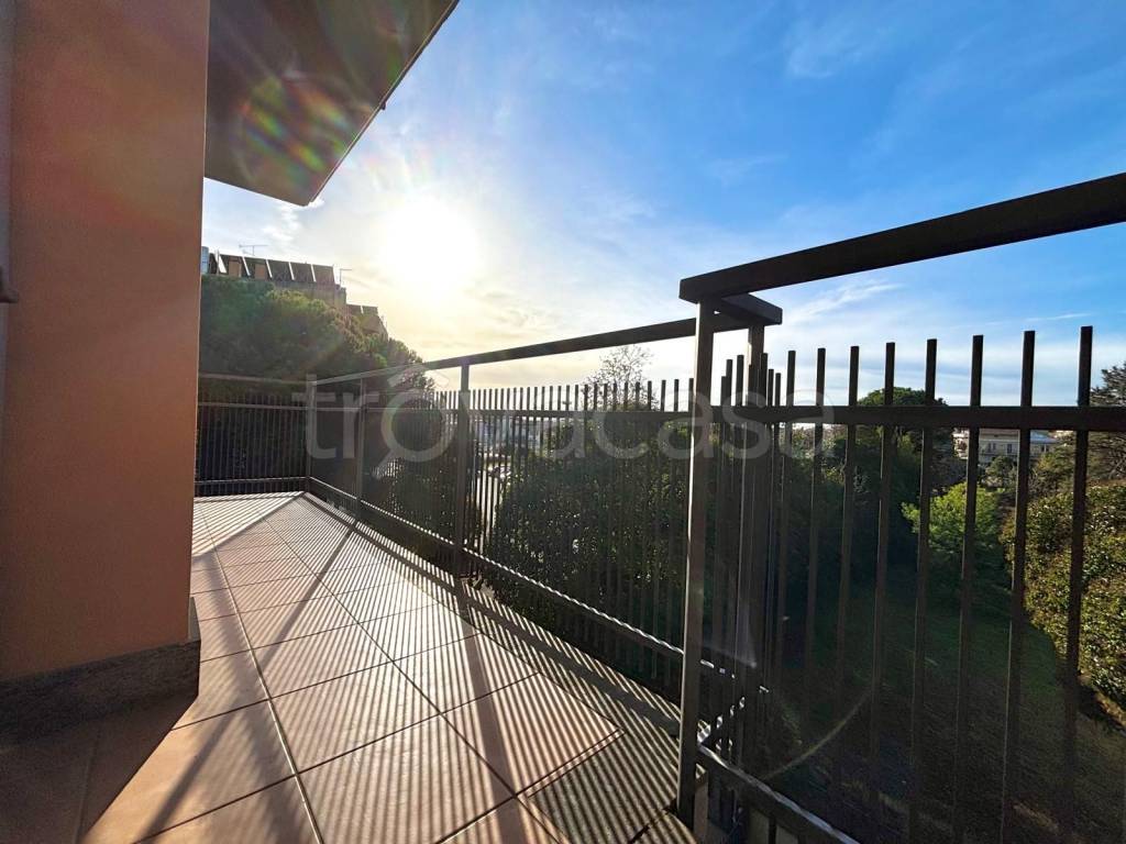 immagine annuncio 12 di 14