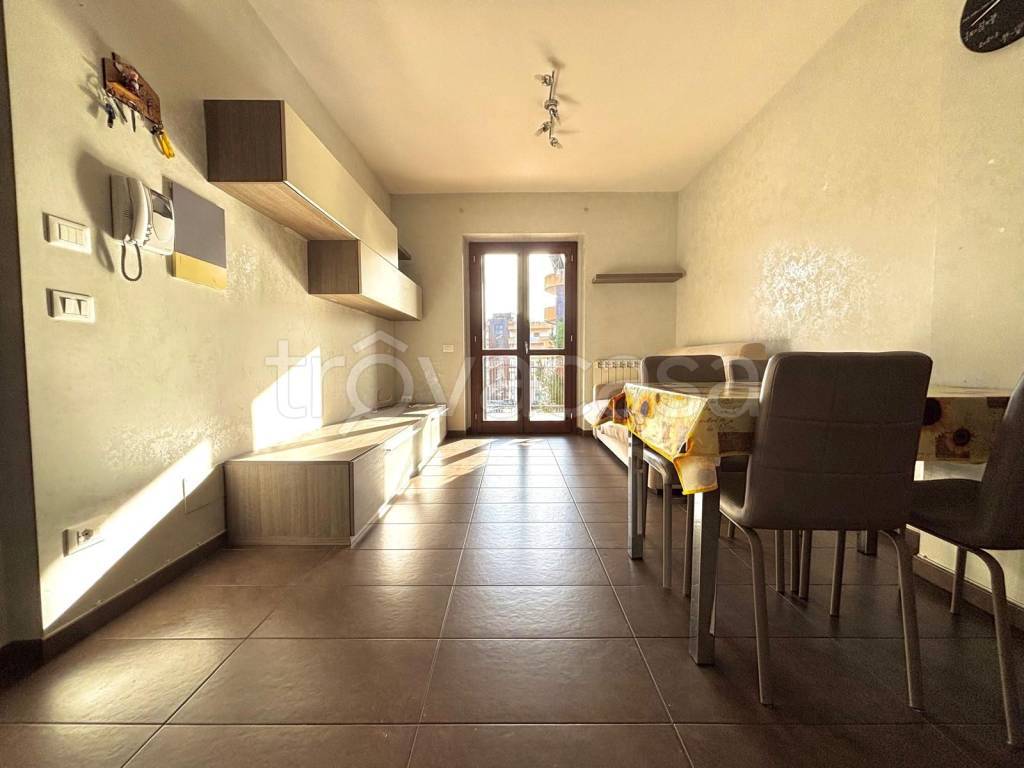 immagine annuncio 1 di 14