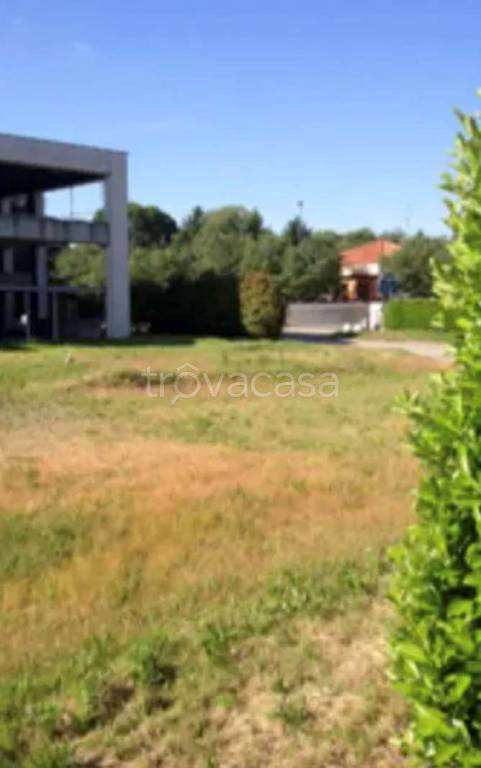 immagine annuncio 2 di 12