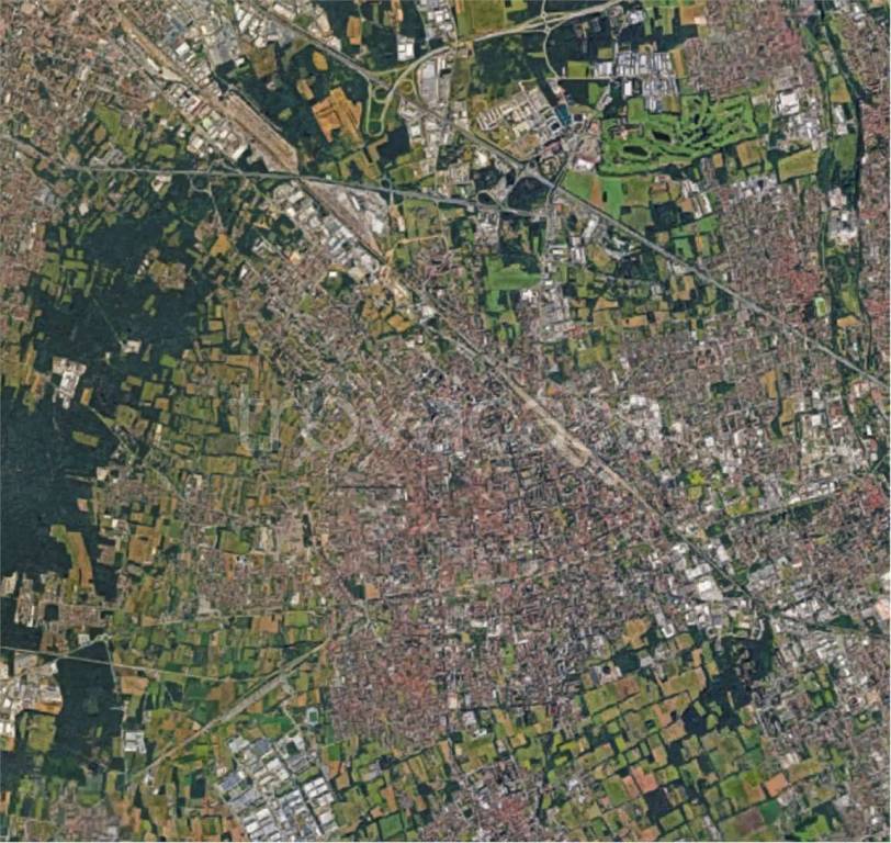 immagine annuncio 6 di 12