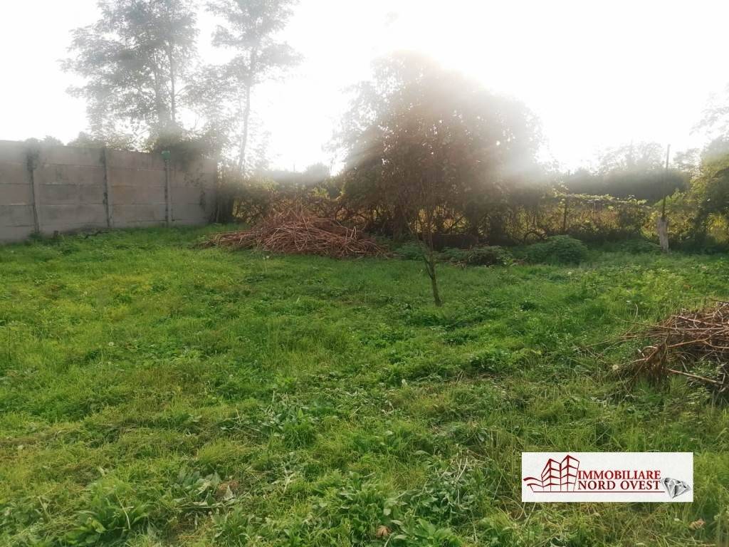 immagine annuncio 3 di 8