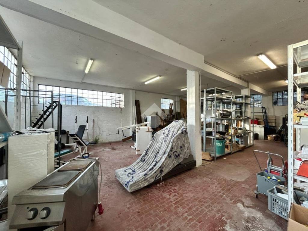 immagine annuncio 4 di 15