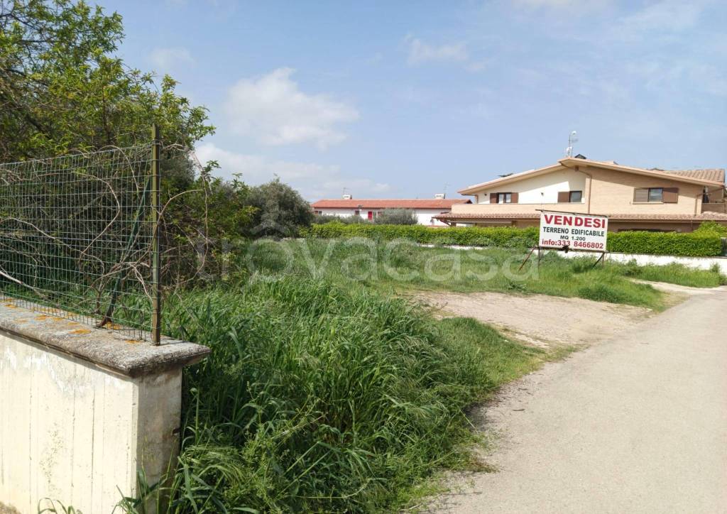 immagine annuncio 8 di 15