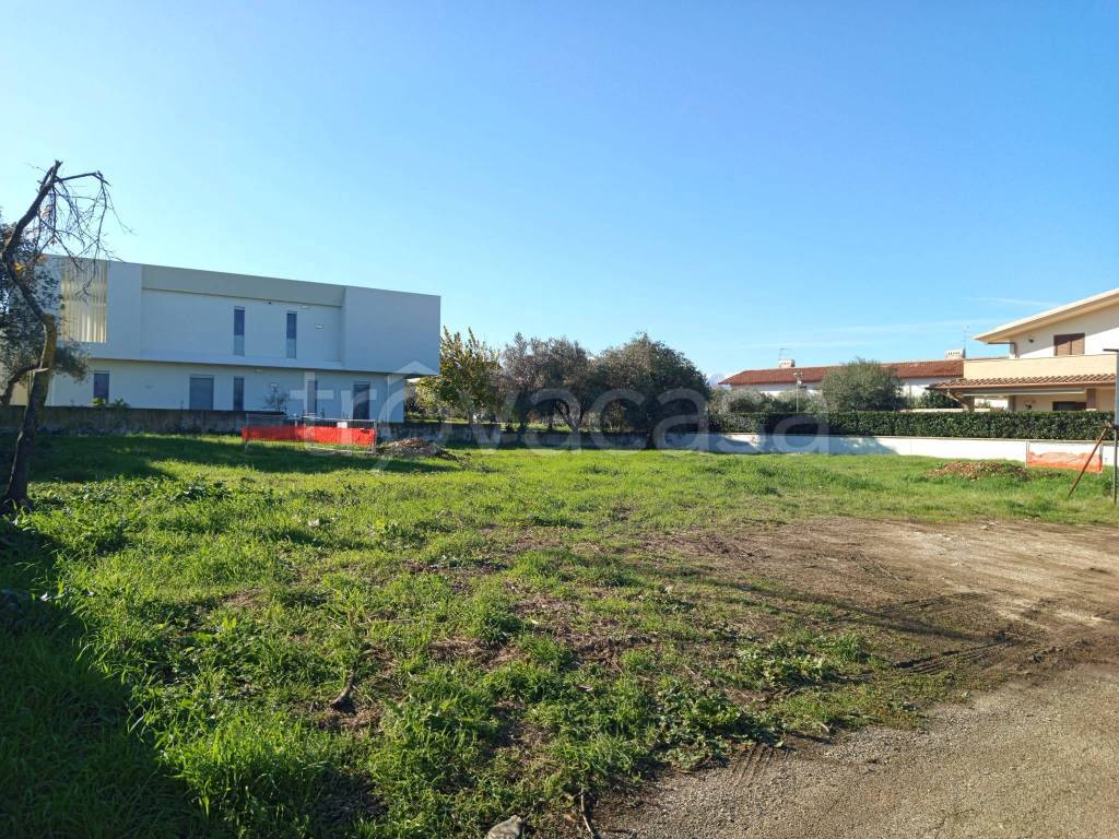 immagine annuncio 12 di 15