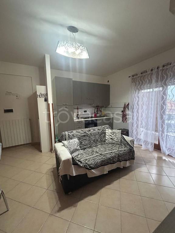 immagine annuncio 3 di 13