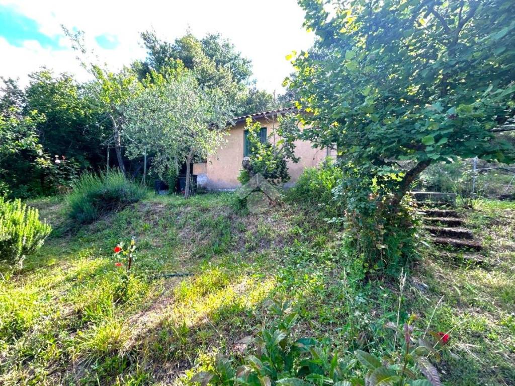 immagine annuncio 6 di 14