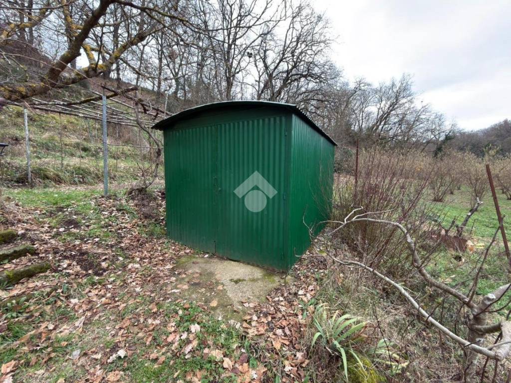 immagine annuncio 7 di 14