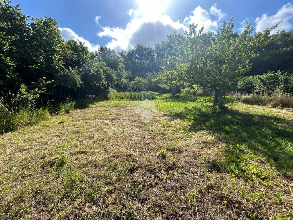 immagine annuncio 9 di 14