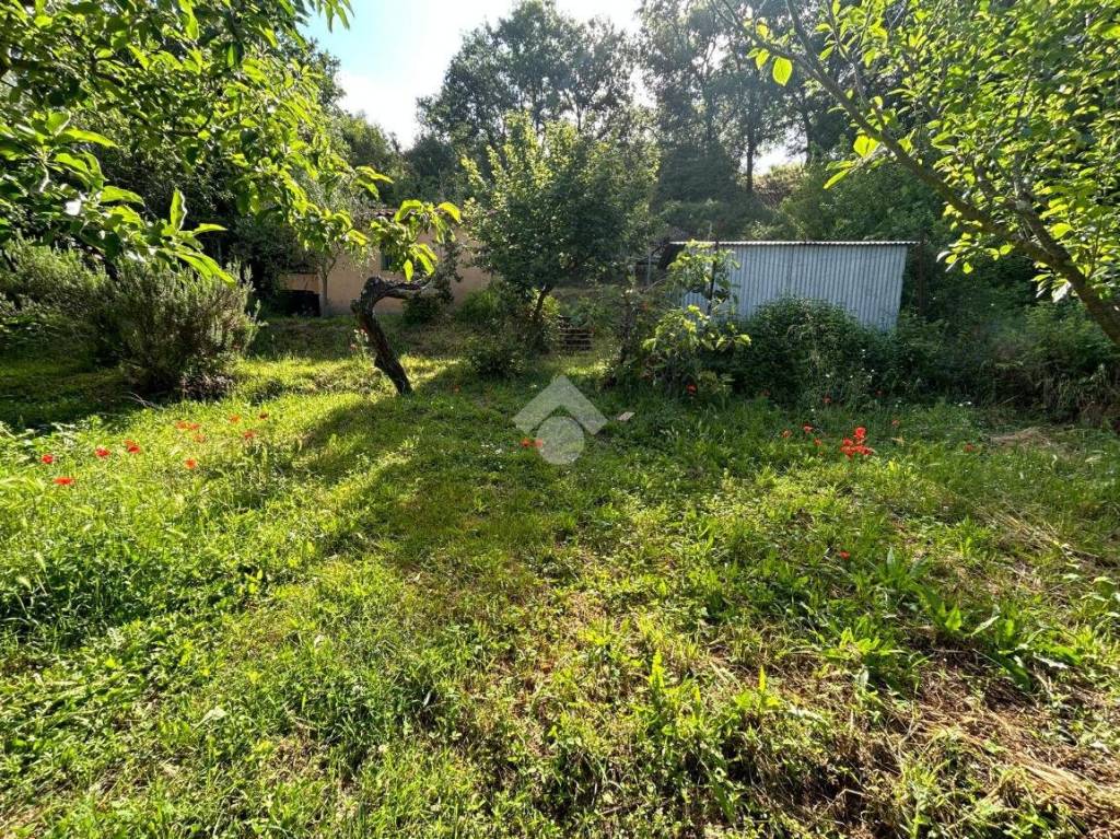 immagine annuncio 12 di 14