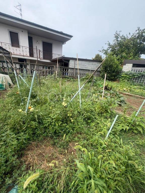 immagine annuncio 2 di 14