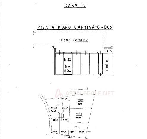 immagine annuncio 13 di 14