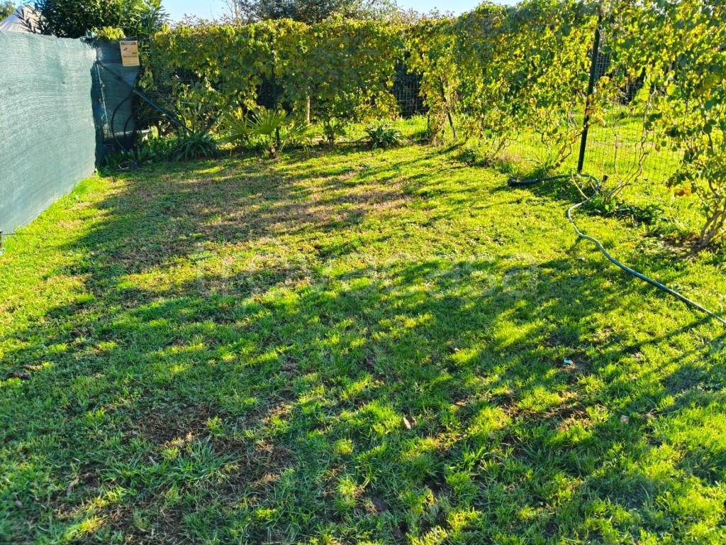 immagine annuncio 9 di 13