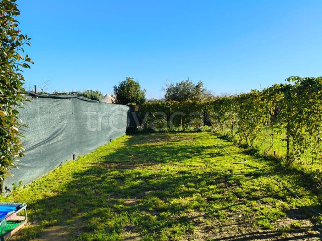 immagine annuncio 10 di 13