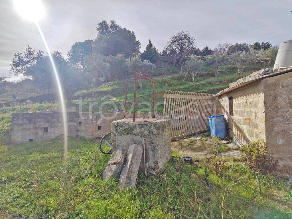 immagine annuncio 3 di 13