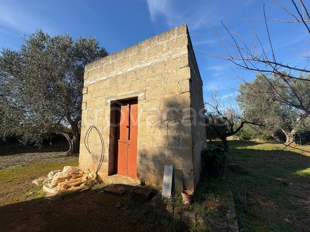 immagine annuncio 3 di 7