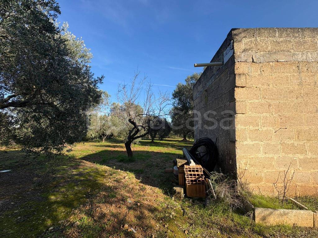 immagine annuncio 4 di 7