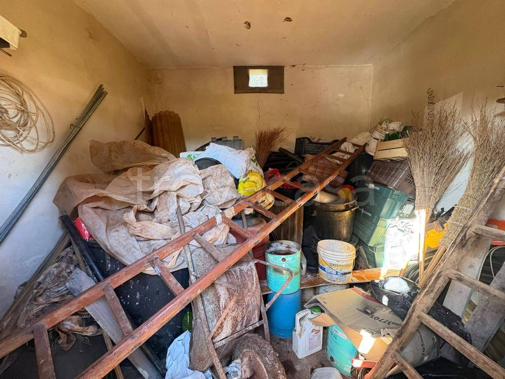 immagine annuncio 5 di 7