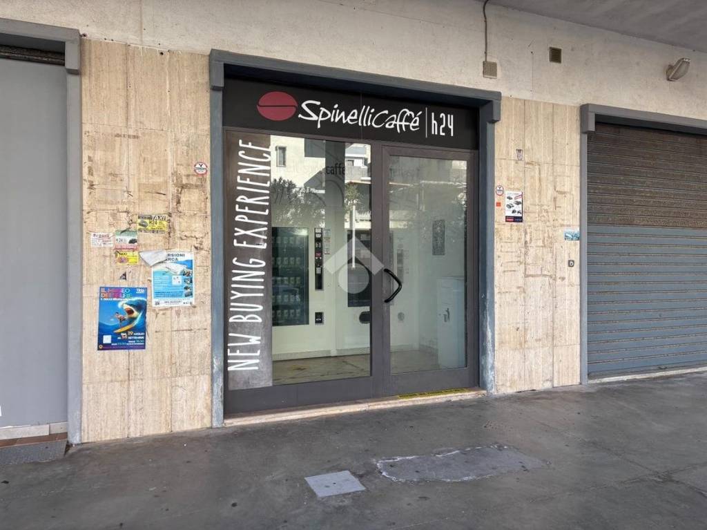 immagine annuncio 3 di 11