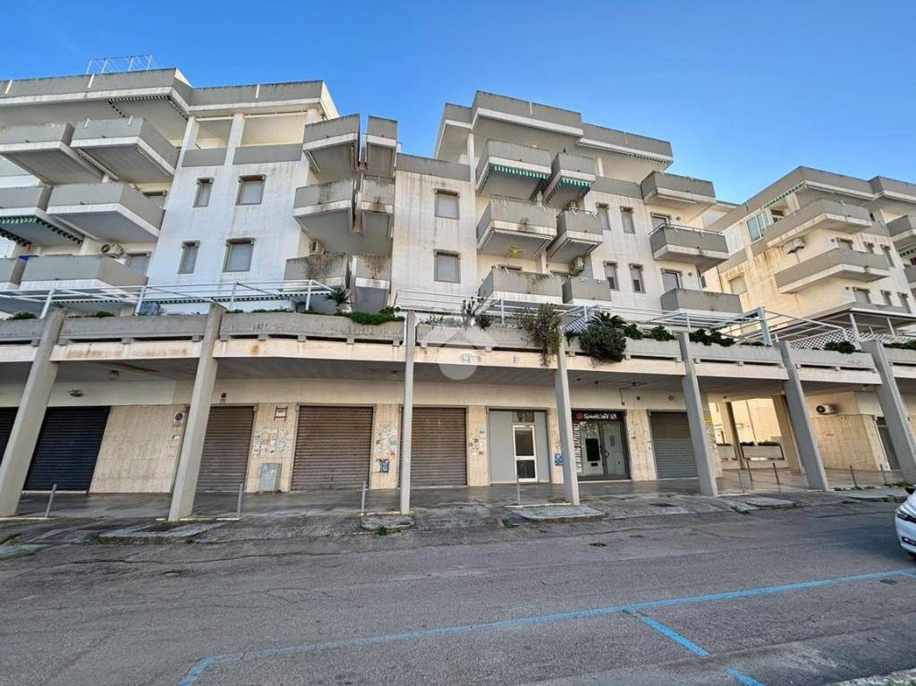 immagine annuncio 4 di 11