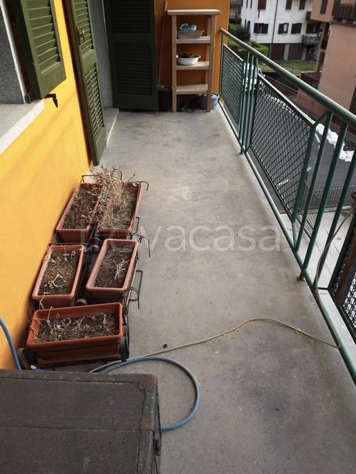 immagine annuncio 11 di 14