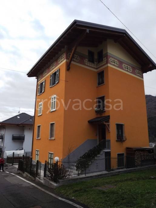 immagine annuncio 1 di 14