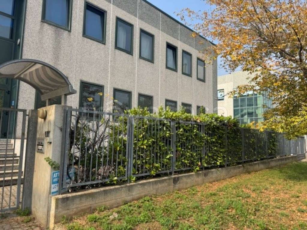 immagine annuncio 6 di 15