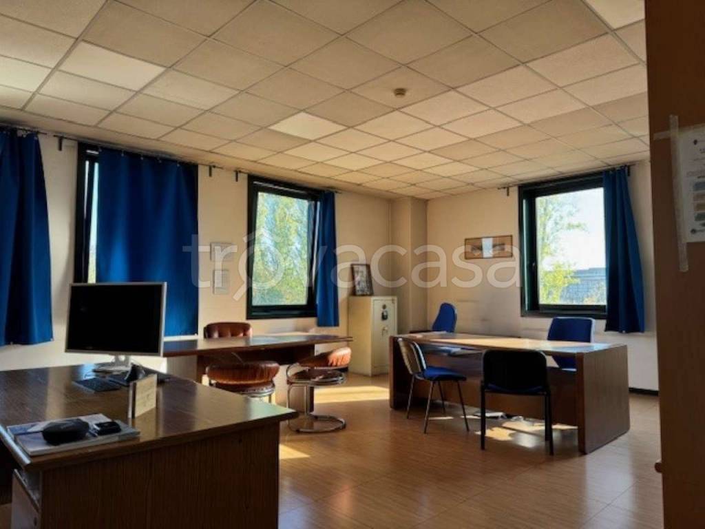 immagine annuncio 12 di 15