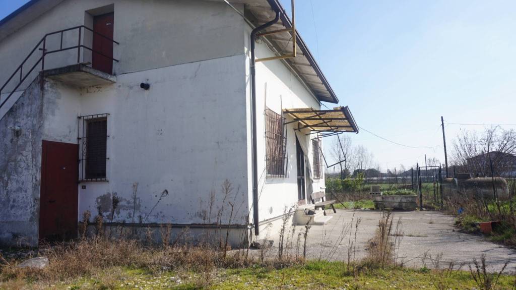 immagine annuncio 2 di 8