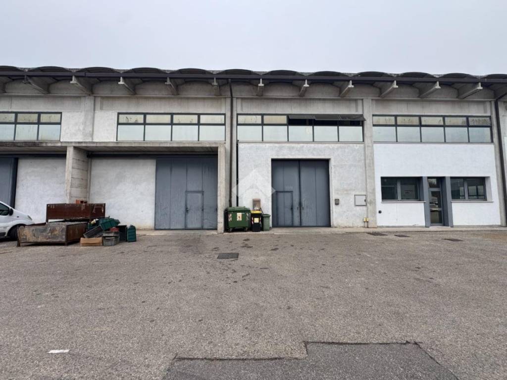 immagine annuncio 6 di 11