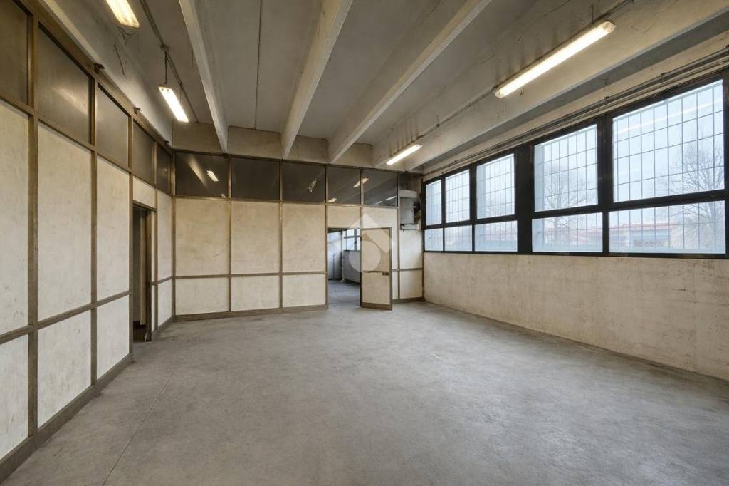 immagine annuncio 7 di 11