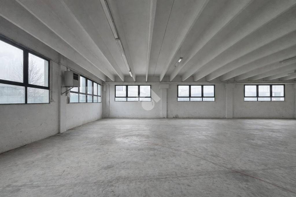 immagine annuncio 3 di 11