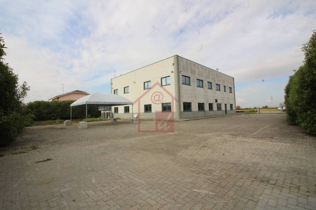 immagine annuncio 5 di 9