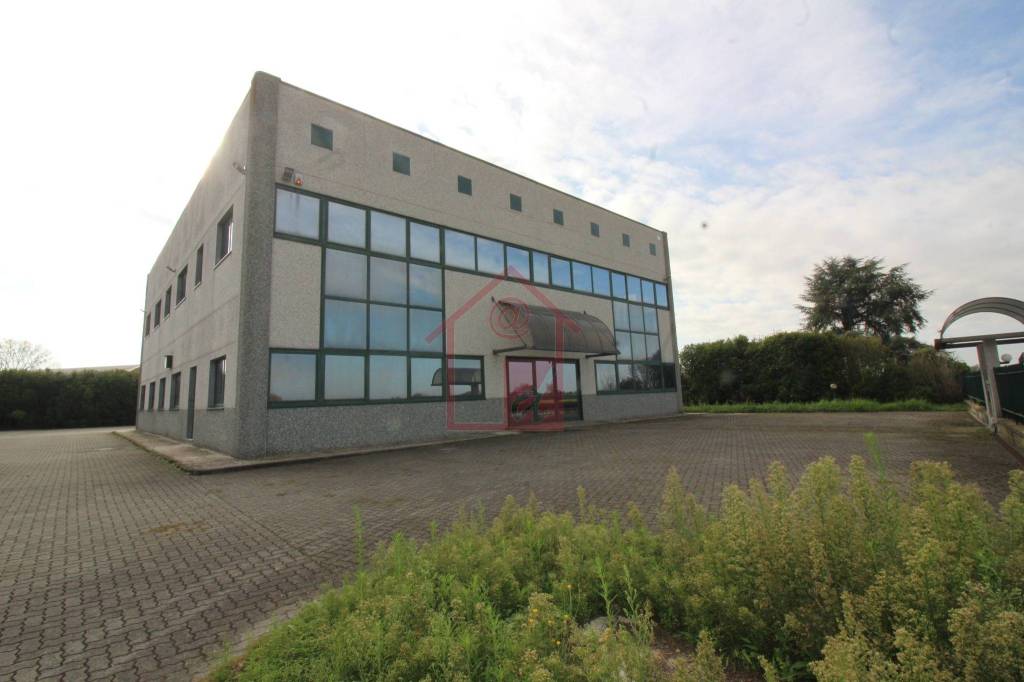 immagine annuncio 6 di 9