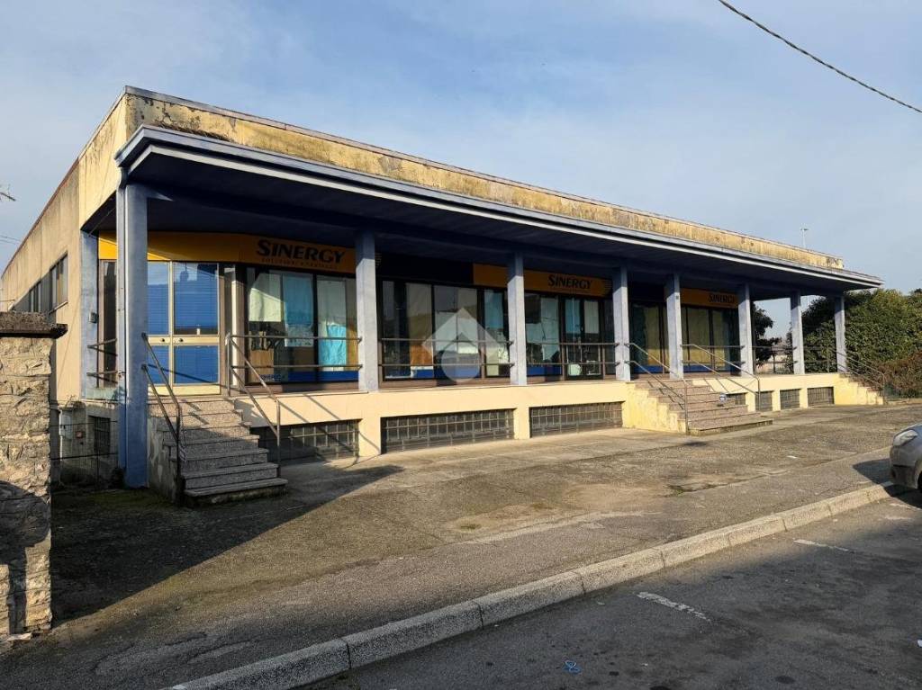 immagine annuncio 11 di 15