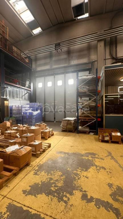 immagine annuncio 2 di 12