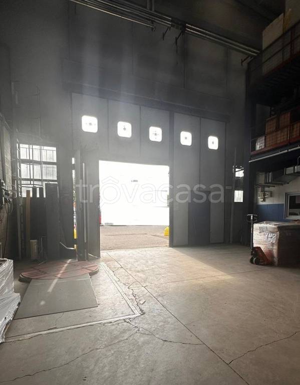 immagine annuncio 5 di 12