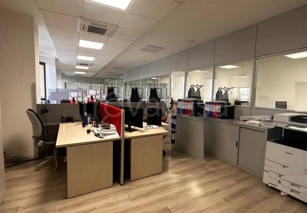 immagine annuncio 6 di 12