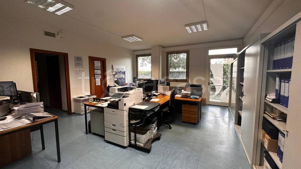 immagine annuncio 9 di 12