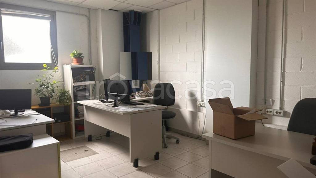 immagine annuncio 11 di 12