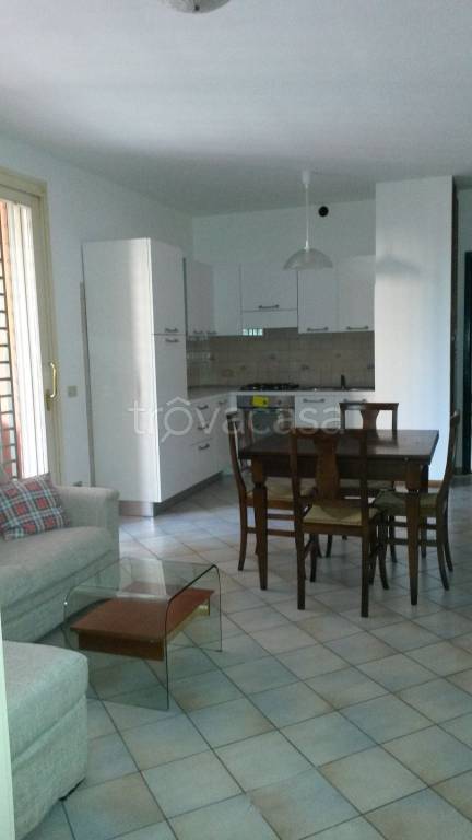 immagine annuncio 3 di 14