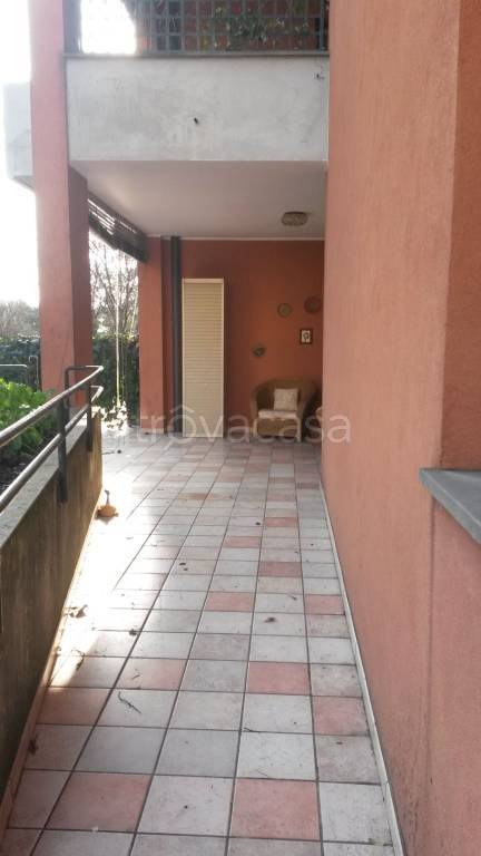 immagine annuncio 5 di 14