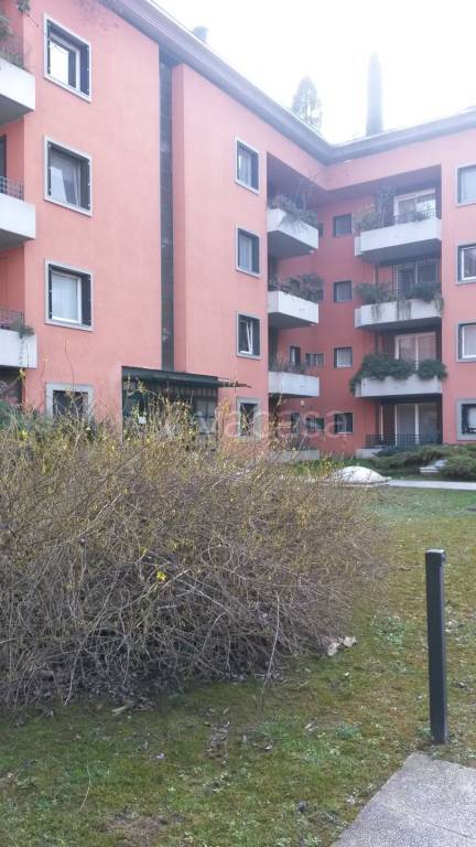 immagine annuncio 6 di 14