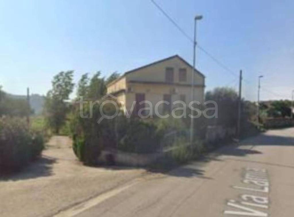 immagine annuncio 10 di 11