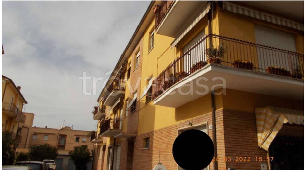 immagine annuncio 2 di 12